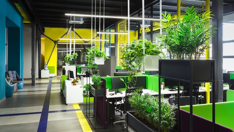 Light modern open space office with big windows and green plants for full time workers, panorama
